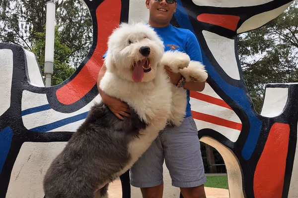 Discovery Green Dog Run photo 2